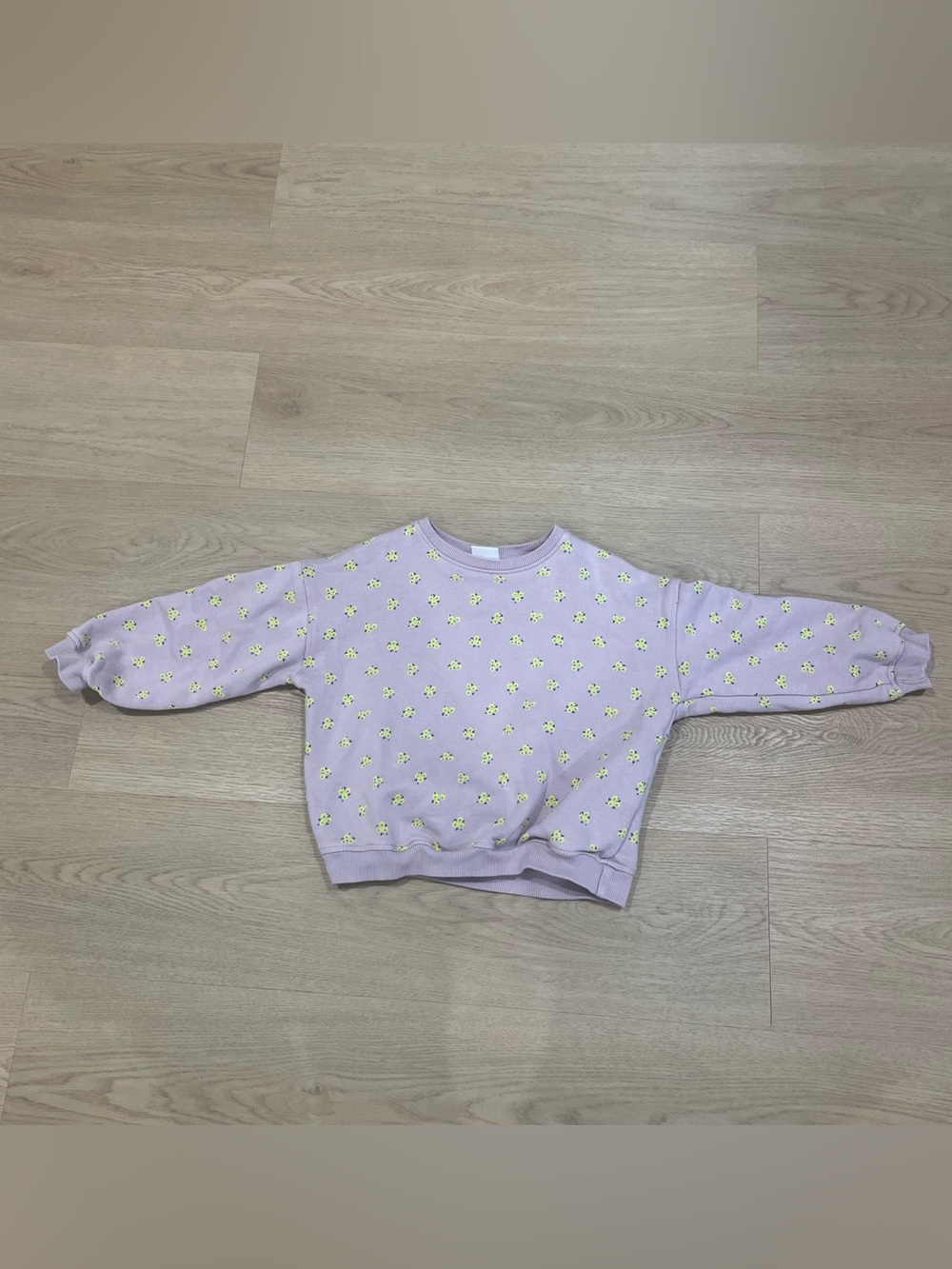 Zara Lavender Daisy Print Sweatshirt for Kids
